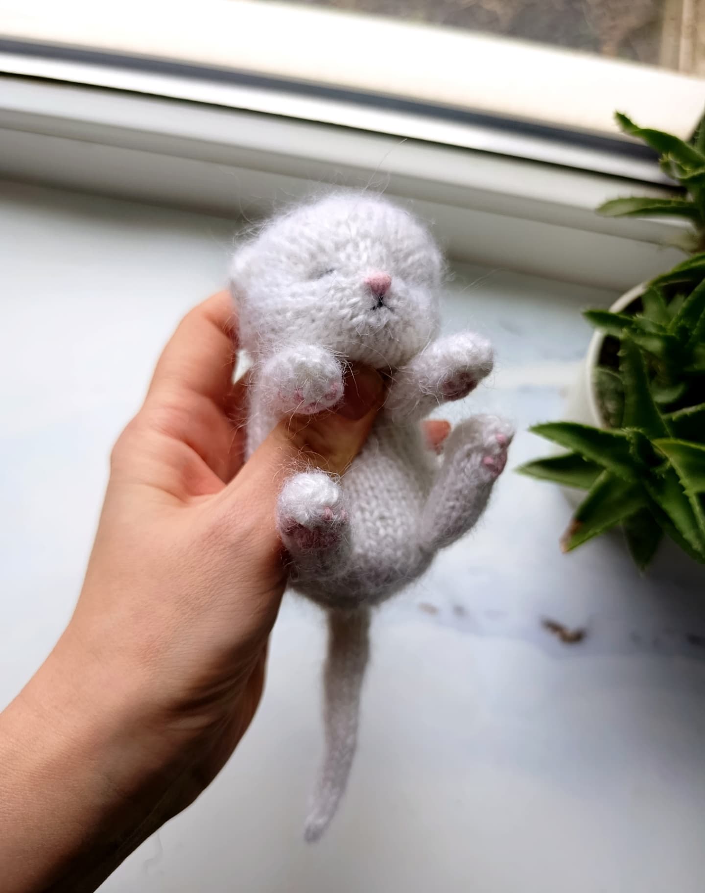 Спящий котёнок