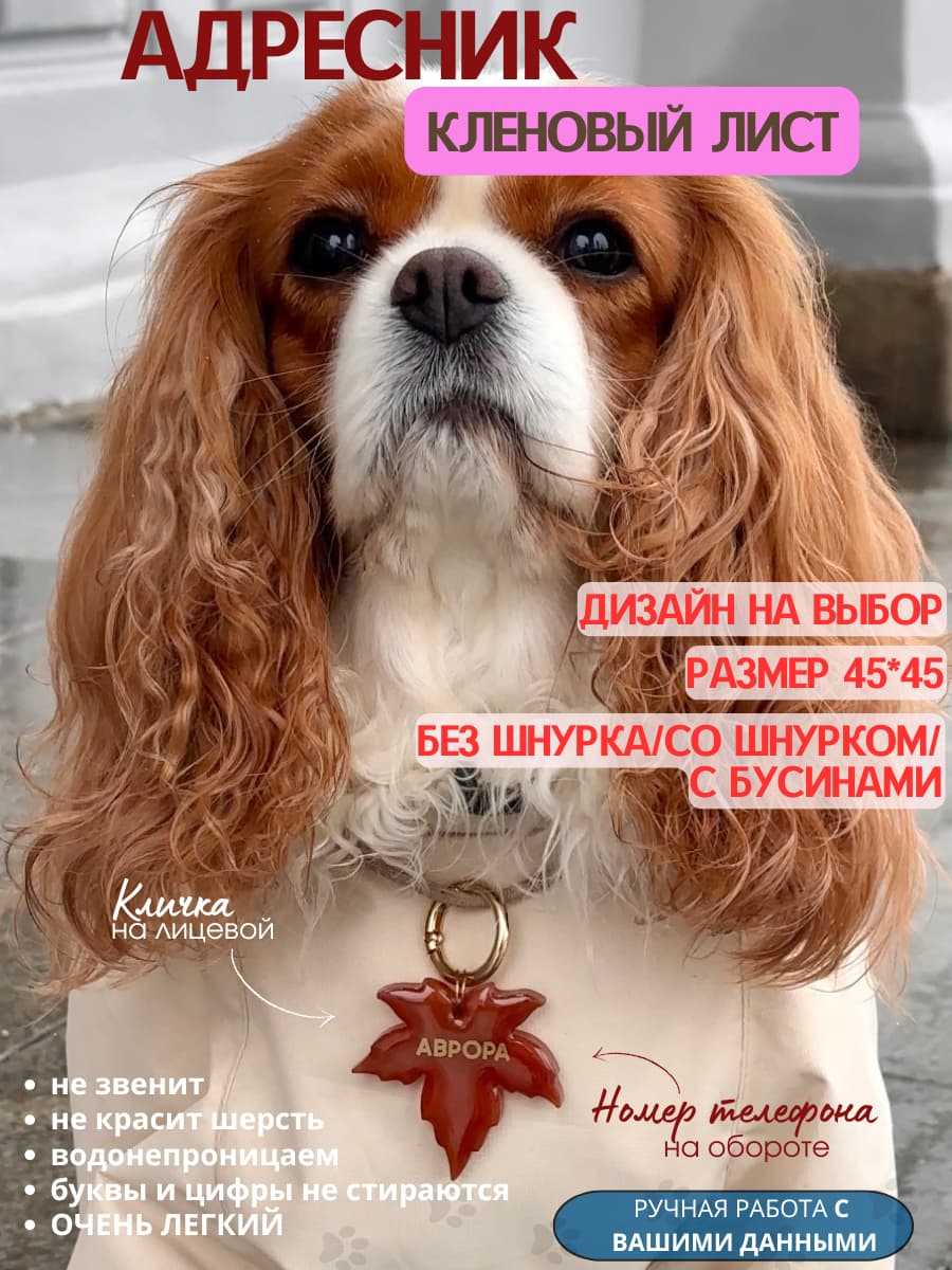 Адресник кленовый лист 45*45
