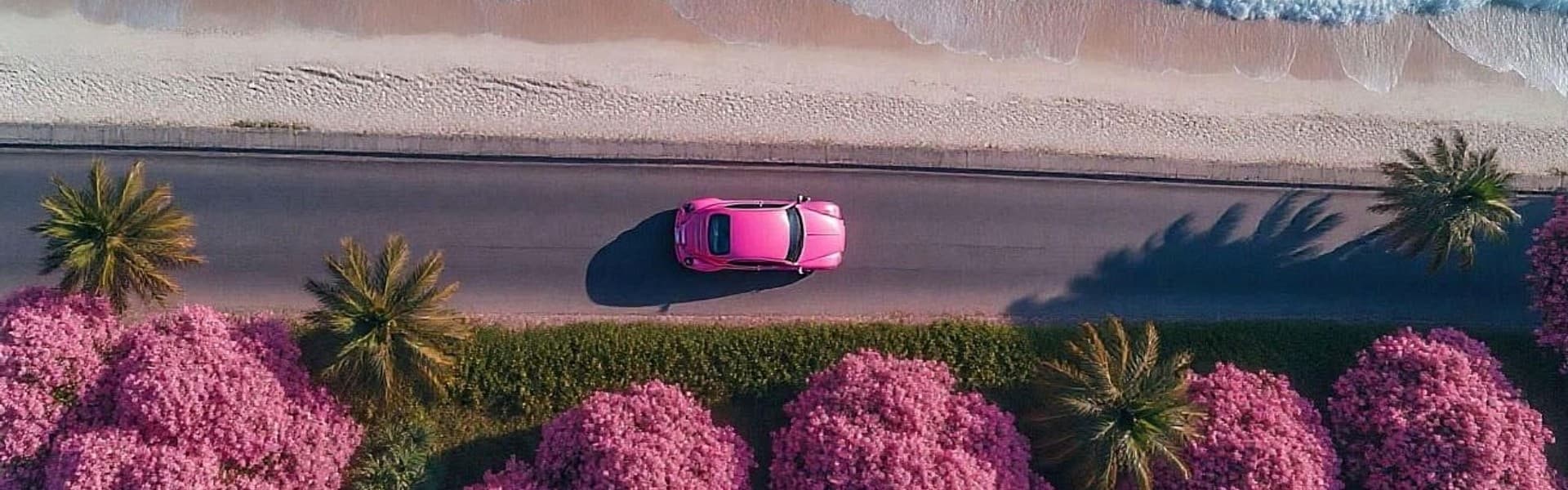 𝐒𝐎𝐋𝐎