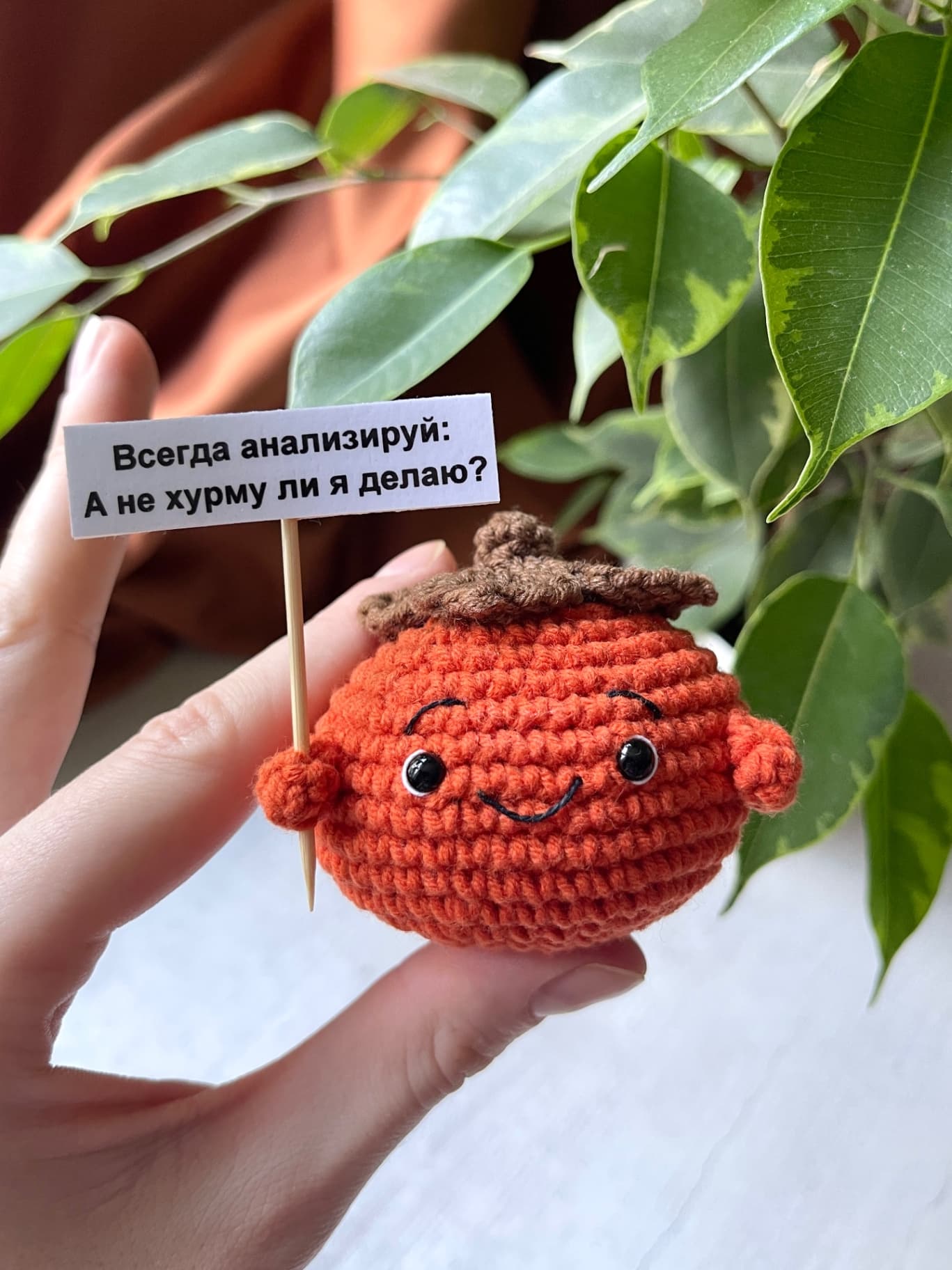 Мудрая хурма