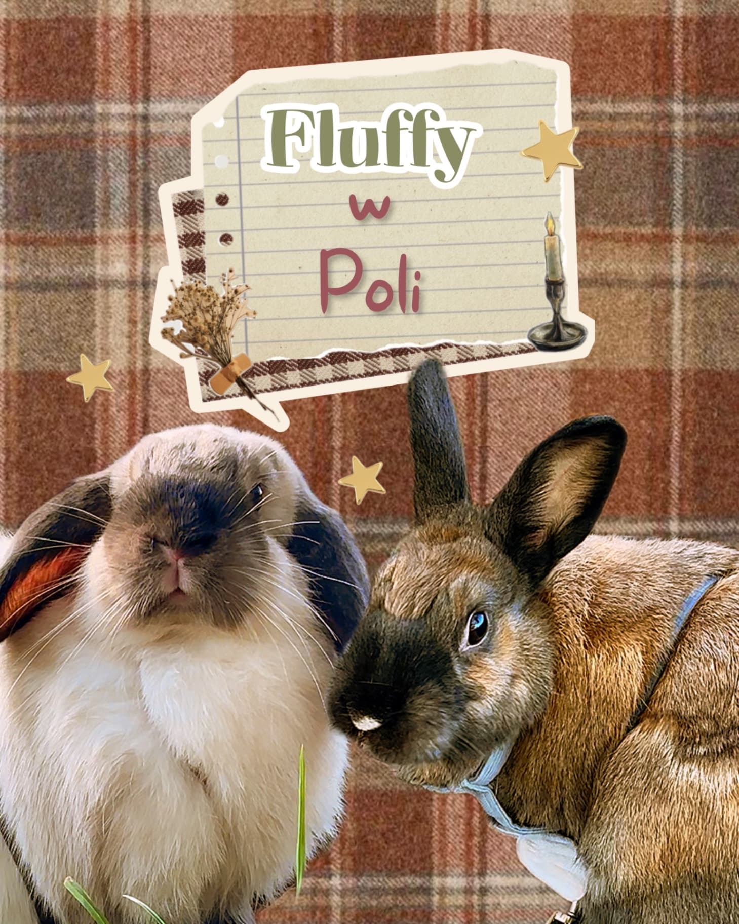 брелки от fluffywPoli