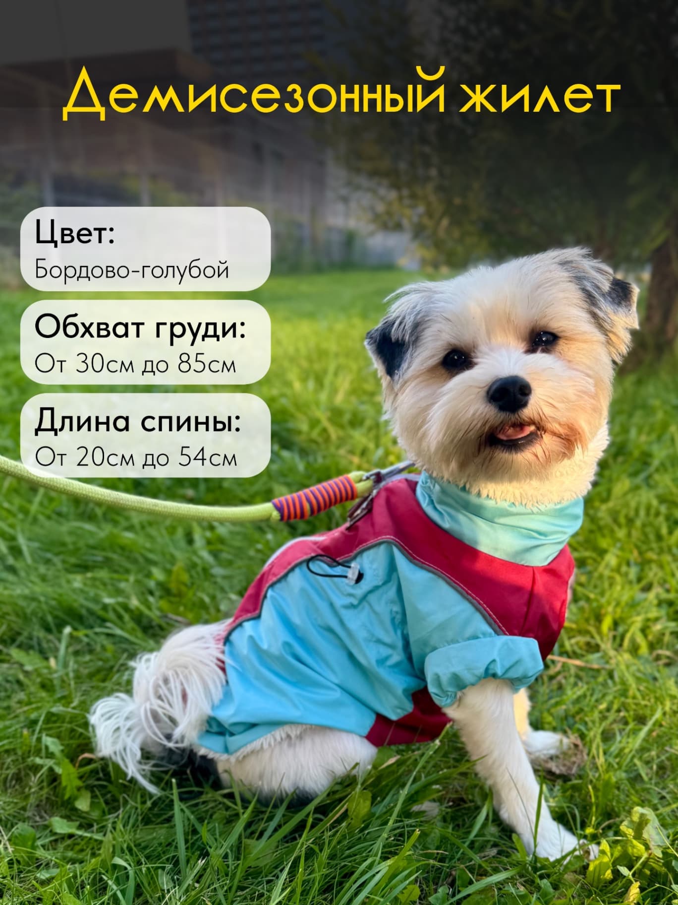Демисезонный жилет для собак со светоотражающими элементами, водонепроницаемый ❤️🩵