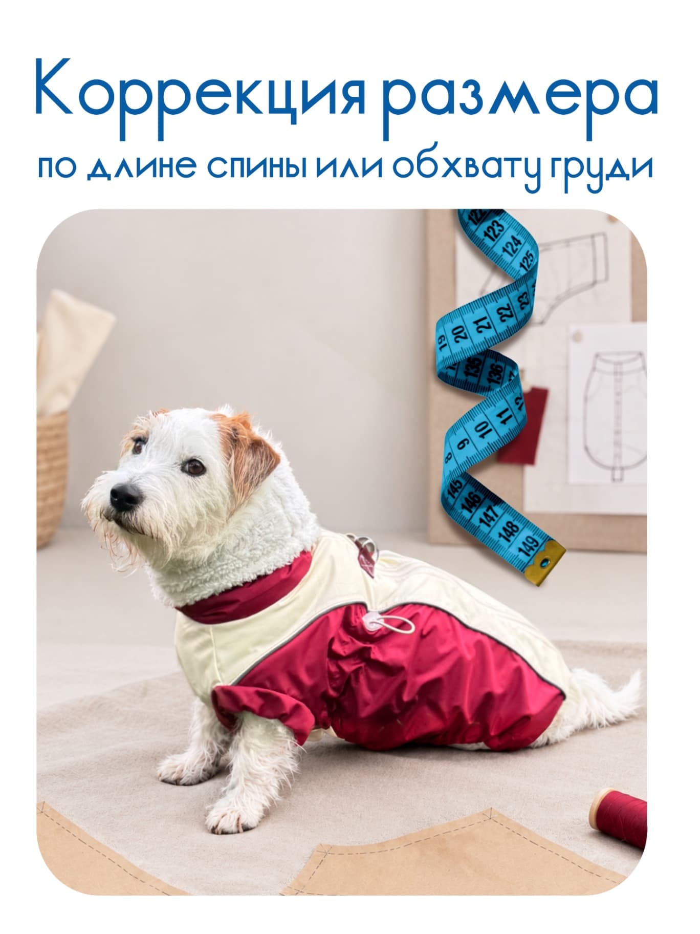 Коррекция размера по длине спины/обхвату груди. Жилет демисезонный для собак
